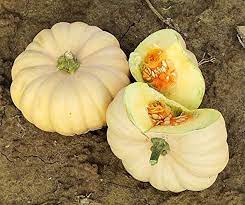 Calabaza, corona de otoño