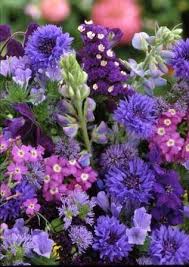 Flower Mixture, Blue
