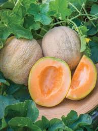 Melón, corazones de oro