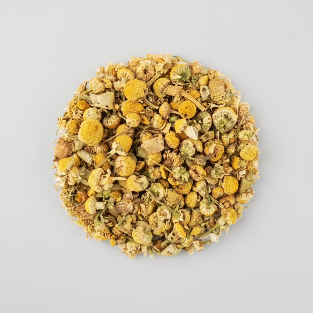 Chamomile Seeds – Heirloom Aromatic Tea & Pollinator Favorite