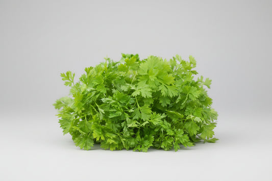 Chervil (French Parsley) Seeds – Heirloom Culinary Herb