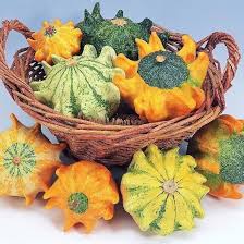 Calabaza, Corona de Espinas