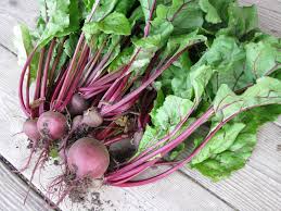 Beet, Detroit Dark Red