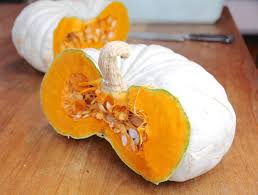 Calabaza, plana, blanca, Boer