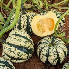 Calabaza, corazón de oro