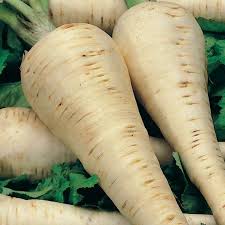 Parsnip, Hollow Crown