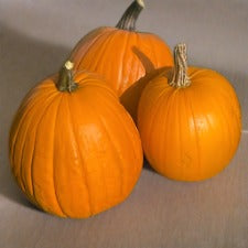 Calabaza, campo de Howden