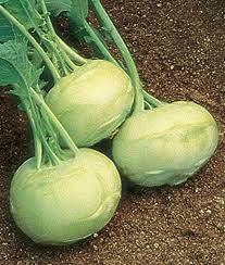 Siempre grandes verduras
