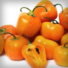 Pimiento, Chile de Manzano