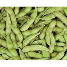 Soy Bean, Edamame Midori Giant