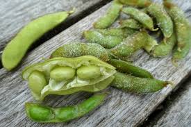 Soy Bean, Edamame Midori Giant