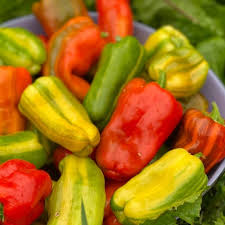 Pimiento, Snack