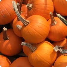 Calabaza, pastel de calabaza
