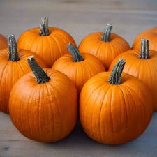 Calabaza, Racer Plus F1 (PMR)