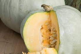Calabaza, Krupnoplodnaya