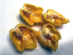 Pimienta, Segadora Amarilla