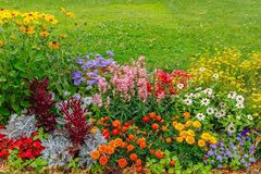 Collection image for: Grand Flowers