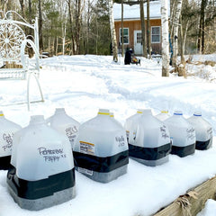 Collection image for: Winter Sowing Items
