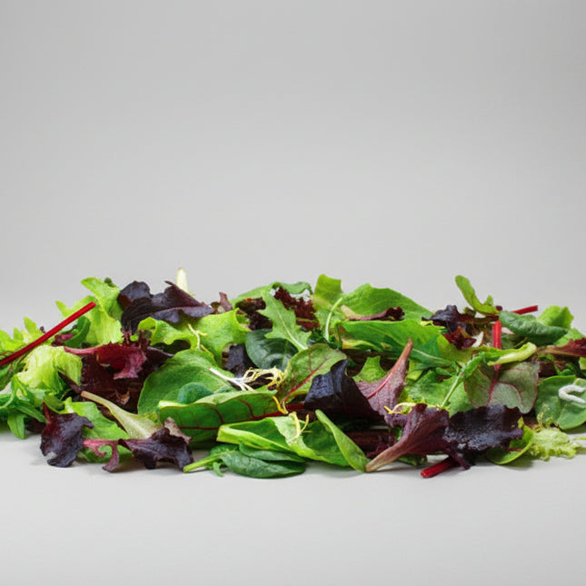 Mezcla de lechuga y espinaca de primavera