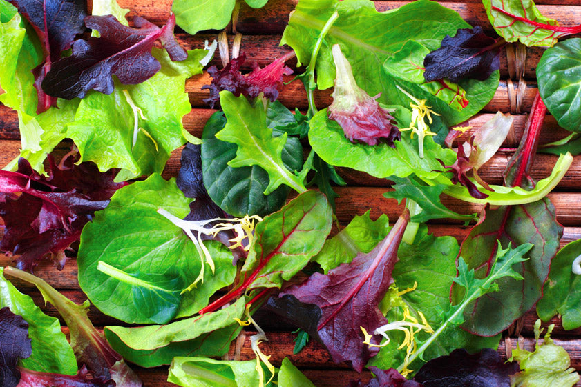 Lettuce, Spring Spinach Salad Mix