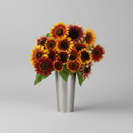 Sunflower Autumn Beauty Seeds – Heirloom Multi-Branching Fall-Toned Classic