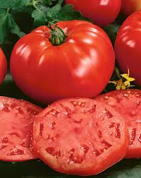 Tomato, Beefsteak Small