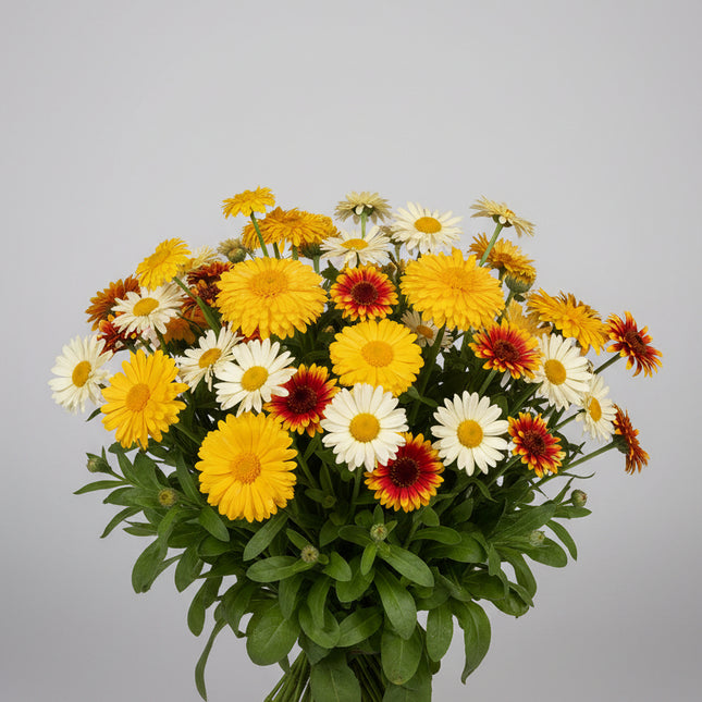 Mélange de fleurs pour buffet de bourdons