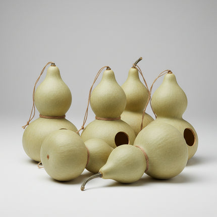 Gourd Birdhouse Seeds – Heirloom Craft Favorite