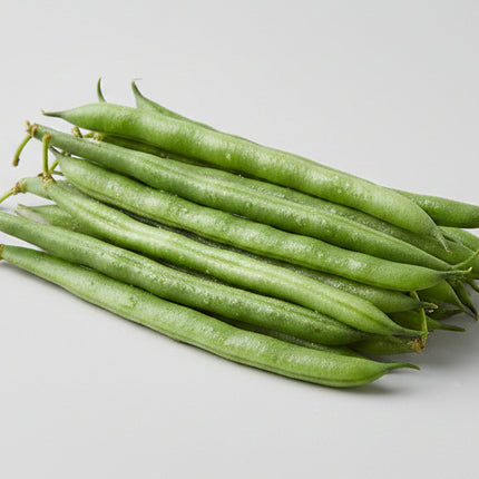 Bean Pole Blue Lake Seeds – Heirloom, Heavy Yielder