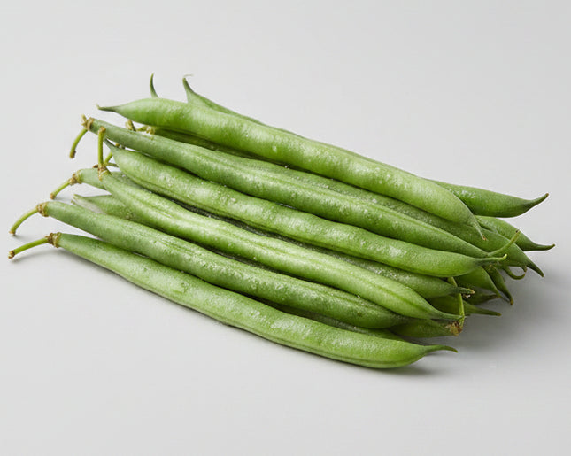 Bean Pole Bean Blue Lake Seeds – Heirloom, Heavy Yielder