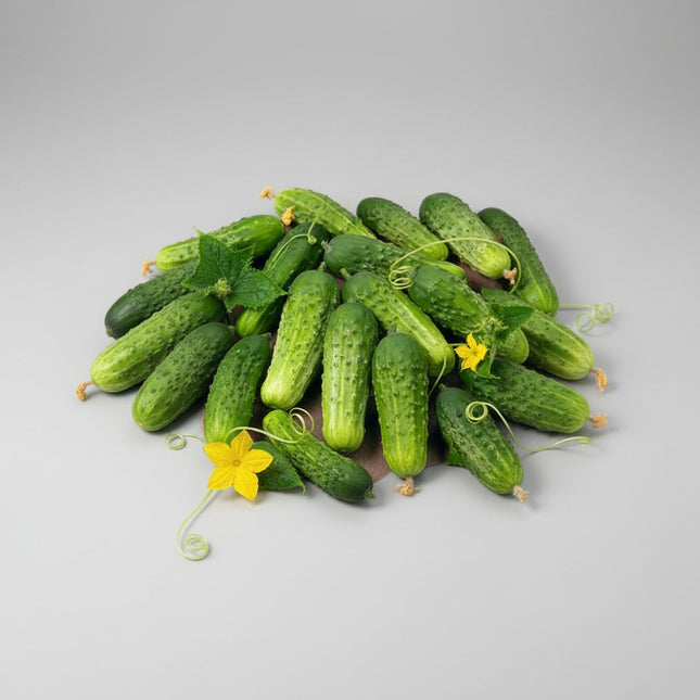 Pepino, encurtido Boston