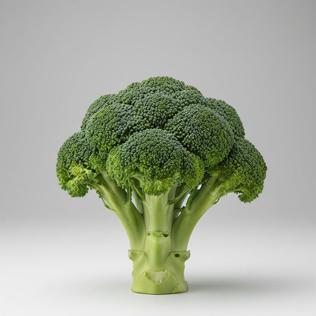 Broccoli Green Sprouting Seeds – Heirloom Classic Italian Standard