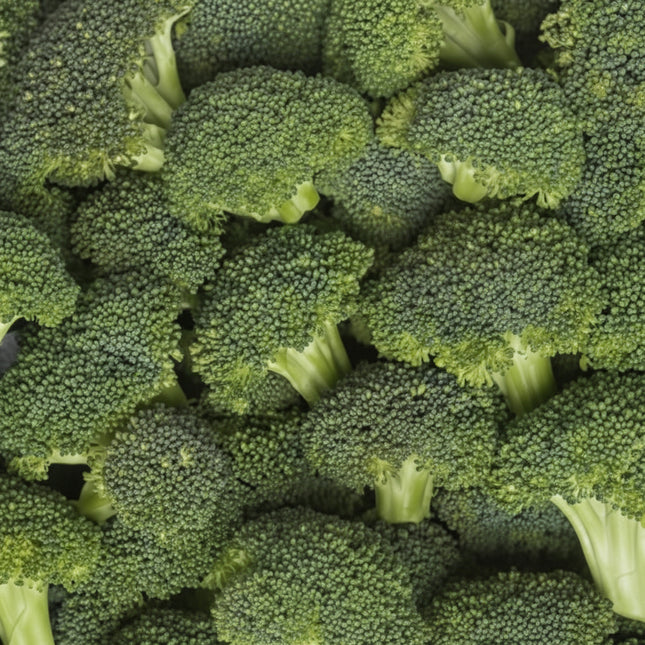 Broccoli Seeds – Heirloom Classic Garden Favorite