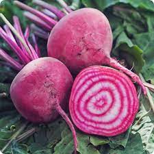 Beet, Bulls Blood