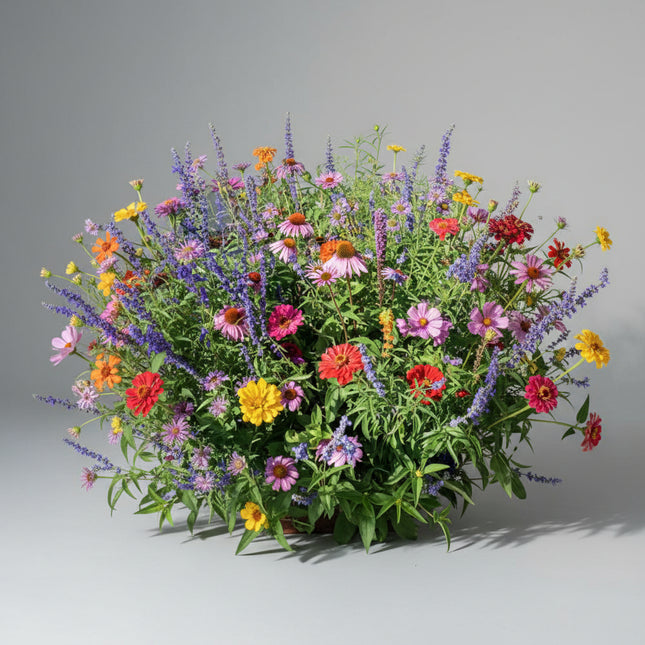 Wildflower Mix Bumblebee Buffet Seeds – Pollinator Specialty Blend