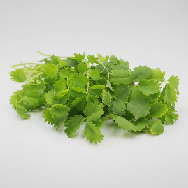 Salad Burnet Seeds – Heirloom Cucumber-Flavored Perennial Herb