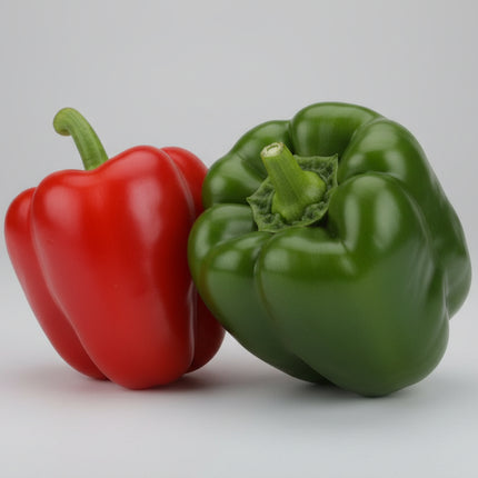 Pepper California Wonder Seeds – Heirloom Classic Sweet Bell Standard
