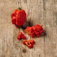 Pepper, Carolina Reaper