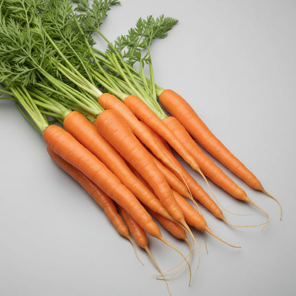 Carrot Danvers Seeds – Heirloom Classic Root Favorite