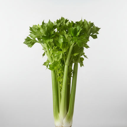 Celery Tall Utah Seeds – Heirloom Crisp Crisphead Classic
