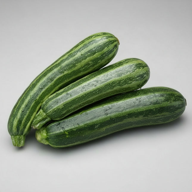 Calabacín, Cocozelle Rayado