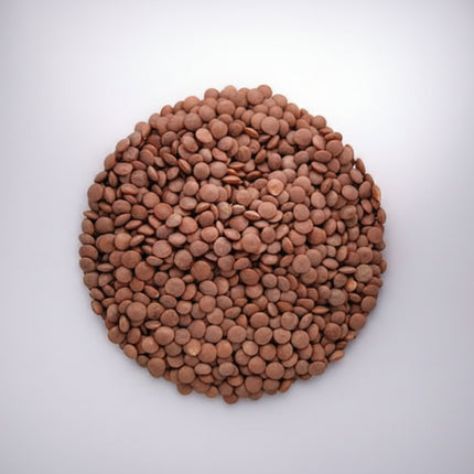 Lentil Crimson Seeds – Heirloom Fast-Cooking Red Lentil