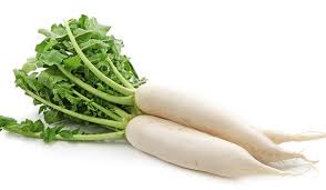 Radish, Daikon