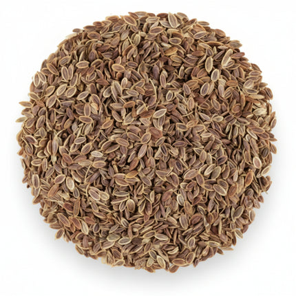Dill Seeds – Heirloom Aromatic Culinary & Pollinator Favorite