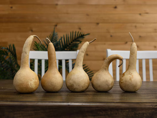 Gourd, "DIPPER"