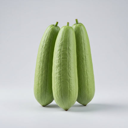 Luffa Natural Seeds – Heirloom Sponge Favorite