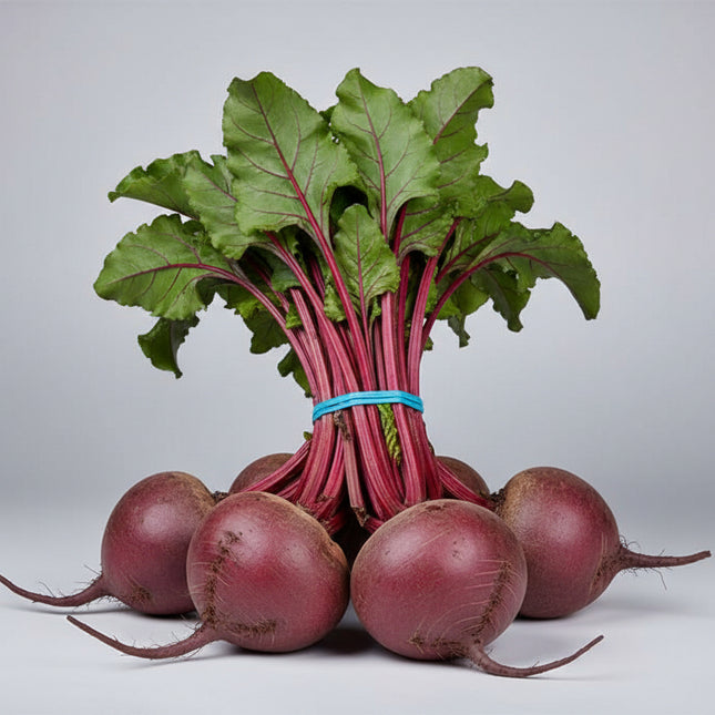Beet Early Wonder Seeds – Heirloom Fast-Maturing Dual-Purpose Standard