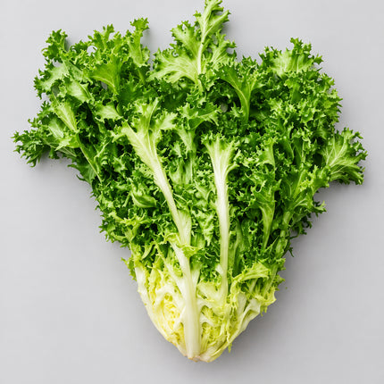 Endive Curled Green Seeds – Heirloom Chicory Salad Classic