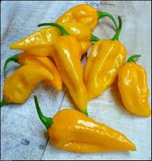 Pepper, Fatalii