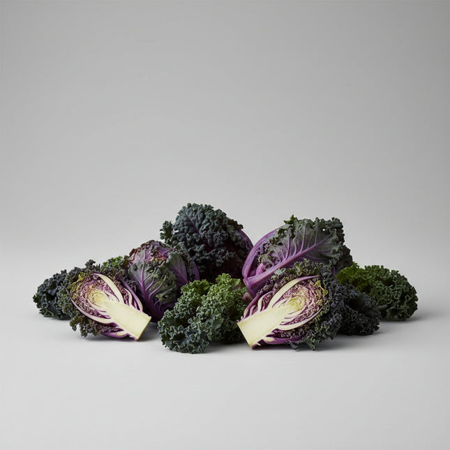 Flower Sprouts Seeds – Innovative Kale-Brussels Sprout Hybrid